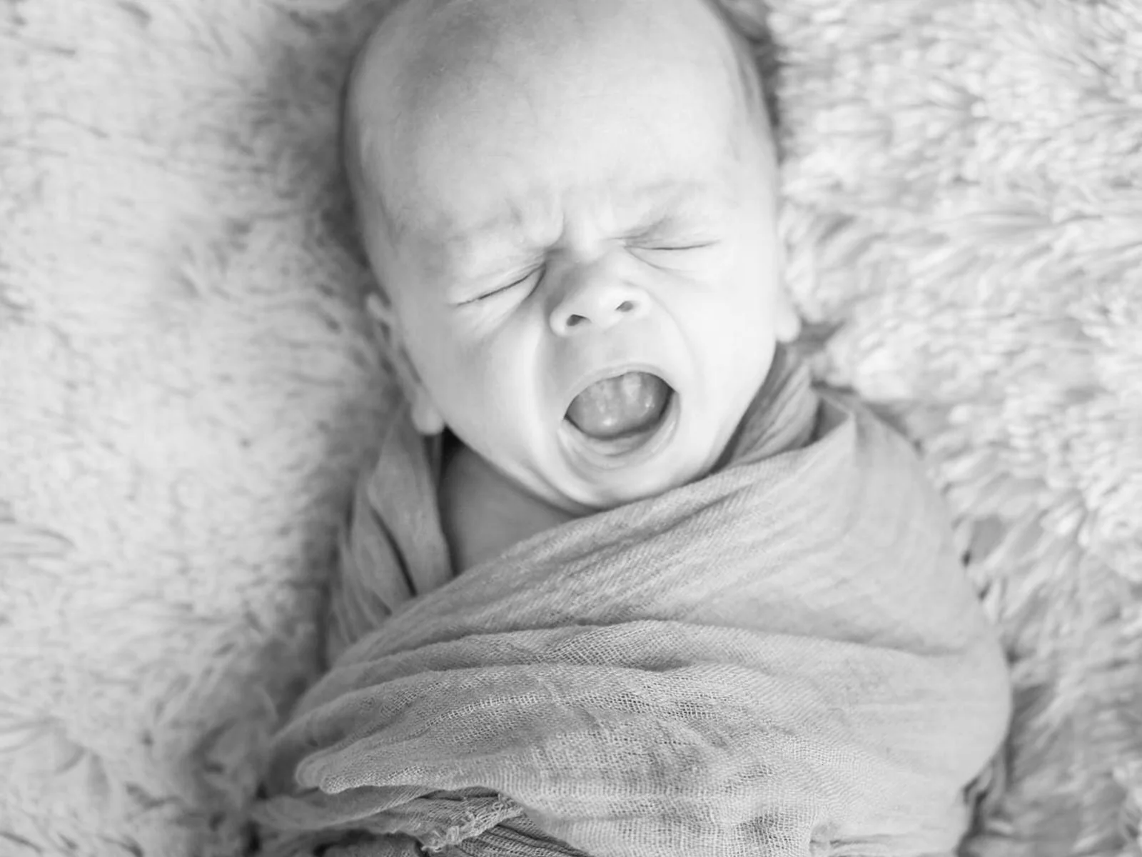 Newborn baby photographed in a simple wrapped newborn portrait
